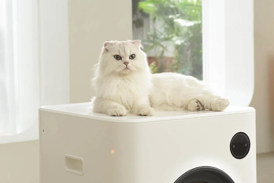 best electric litter box